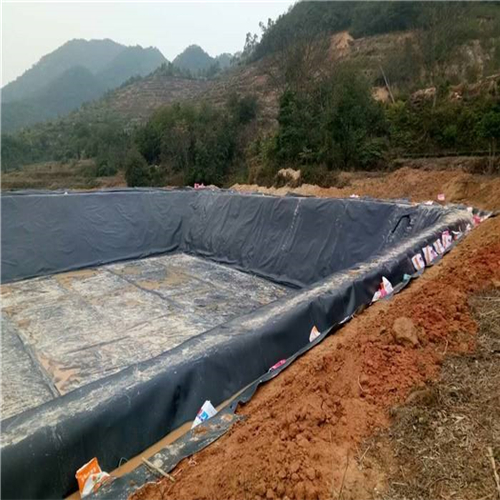 您了解魚塘防滲膜施工方法有哪些嗎？